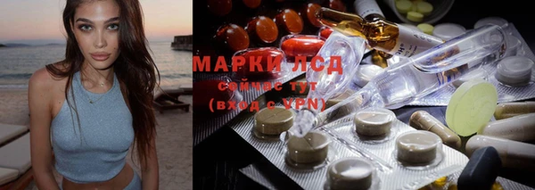 spice Богородицк
