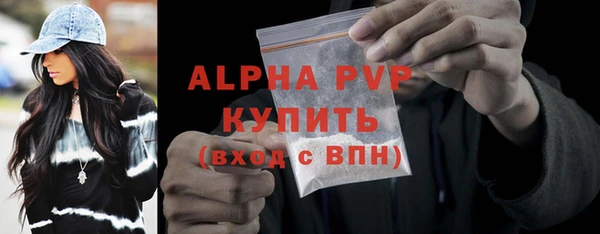 spice Богородицк