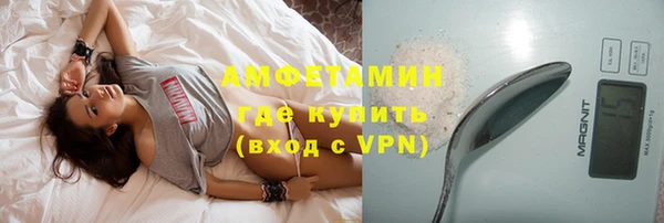 spice Богородицк