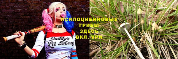 скорость Пересвет