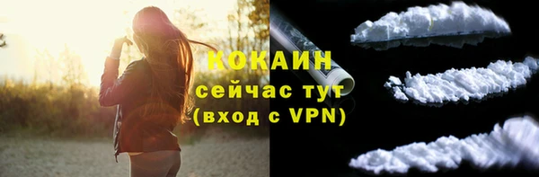 PSILOCYBIN Богданович