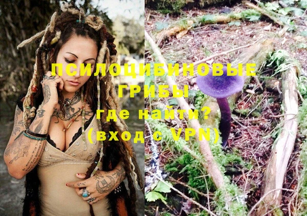 PSILOCYBIN Богданович