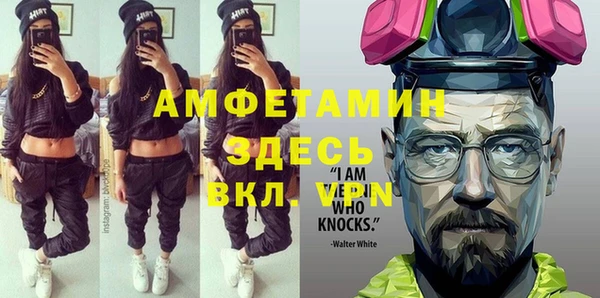 spice Богородицк