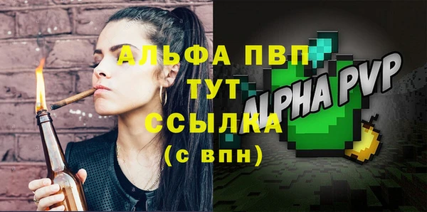 PSILOCYBIN Богданович