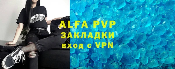 PSILOCYBIN Богданович