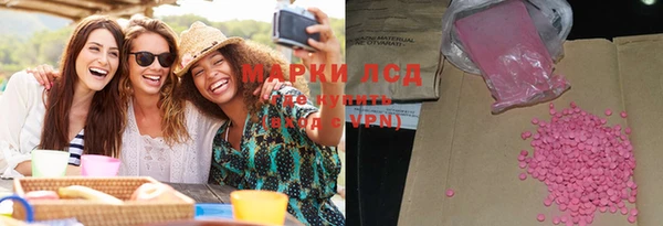 spice Богородицк