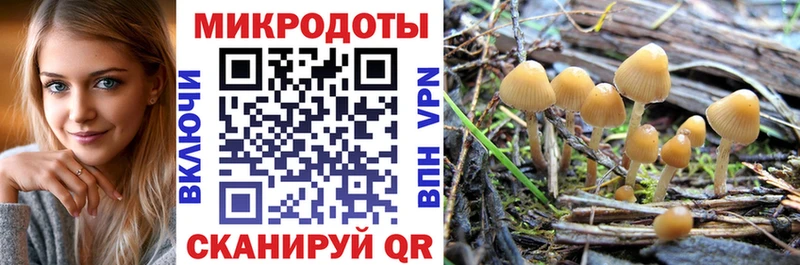 где купить наркотик Юрга Галлюциногенные грибы мицелий
